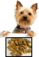 Chicken Treats: For the Little Dogs