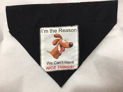 I'm the Reason We Can't Have Nice Things dog bandana